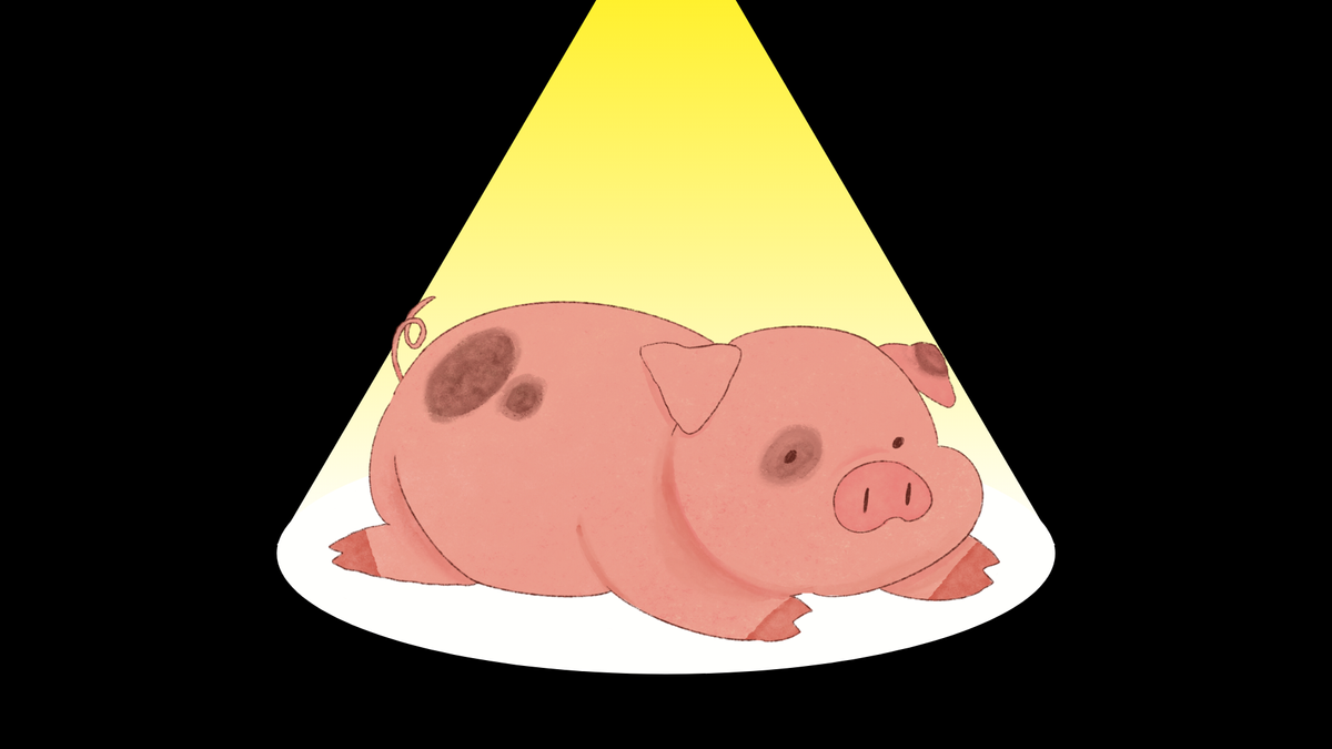 Pig Butchering Scam: A Scam never heard of